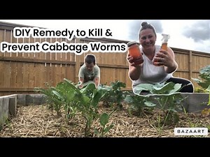 DIY Remedy to Prevent and Eliminate Cabbage Worms: Easy & Effective Solutions for Your Garden!