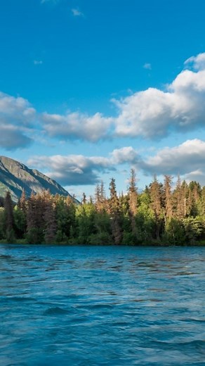 Alaska hunters attacked by brown bear