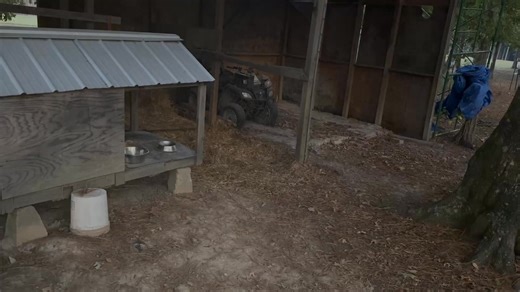 Debra Chunn on Reels