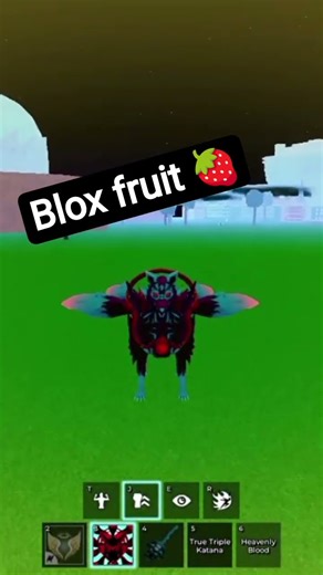 Fack blox fruit🥶 but I actually nice🗿 fruit Roblox #bloxfurit