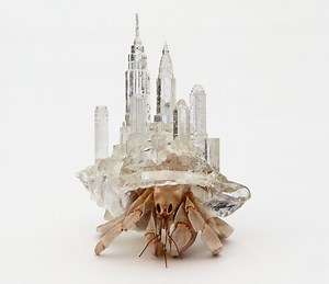 3D-printed shells turn hermit crabs into beautiful walking cities
