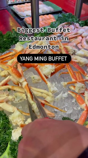 rosefoodiefinds on TikTok