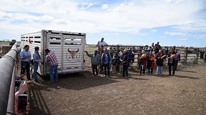 7.8K views · 294 reactions | Restoring bison populations and...