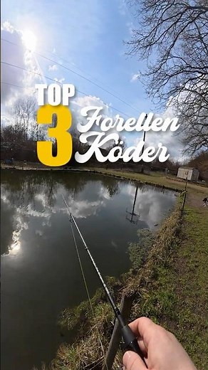 Die 3 besten Forellen Spinnköder #fishing #angeln #forelle