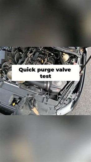 Purge Valve Test in 5 Seconds #shorts