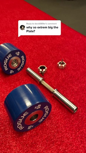 Rogue Loadable Dumbbell Set Review