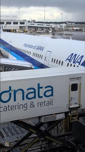 Flying ANA economy class to Japan #japantravel #anaeconomyclass #allnipponairways #aviation #travel