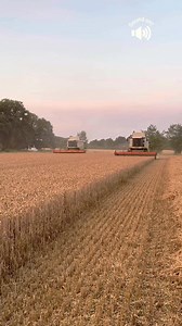 136K views · 2.5K reactions | Claas Lexion 560 and 570, in use in Holzhausen in the best weather. #work #farming #claaslexion #farmlife | Tractor Nostalgia USA | Facebook