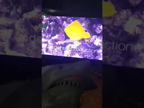 Shark puppet 🦈 react to Finding Nemo Live Action remake part 2 and 3 Nemo' first day at school 🏫