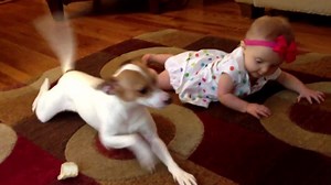 Brilliant puppy teaches baby how to crawl. Have you ever seen anything cuter?! via Daily Picks and Flicks | In The Know
