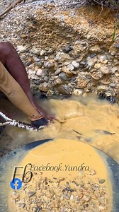 diggers found sand containing hundreds of grains of gold dust | Yundra Gold . Digger