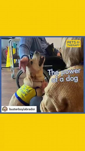 Did you know that: 💛 Our PAT Teams reach around 600K people EVERY YEAR!! 🤝 The most common word used to describe volunteering for Pets As Therapy is "REWARDING" 👩‍🦽Roughly 800 Care Homes are waiting for a PAT Team to visit. 🏥Roughly 400 Healthcare places are waiting for a PAT Team If you have a friendly dog or cat and some time to spare every month to change the lives of people in your own community, please get in touch. Message us or apply here: https://tinyurl.com/join-pets-as-therapy #pe