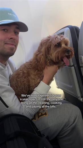 Caring for My Cavapoo: The Spoiled Dog Life