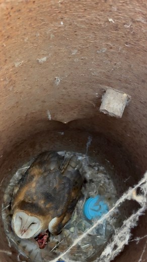 1.4K views · 52 reactions | So somehow a quick fishing trip turned...