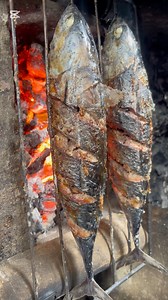 Inihaw na tulingan..fresh na fresh na inihaw, ang sarap sarap na manamis-namis! Burp!!!! | Municipality of Santa Ana, Cagayan Special Economic Zone & Freeport