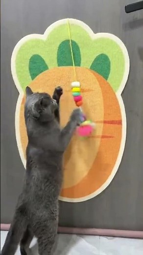 El MEJOR rascador de pared para gatos 🥕 (¡No ensucia tus pisos!) 🐈