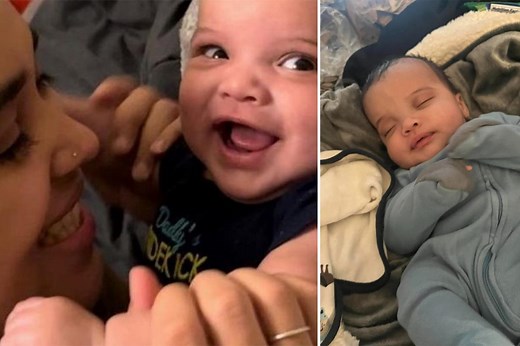 3-month-old baby mauled to death by family pit bull in NJ: reports