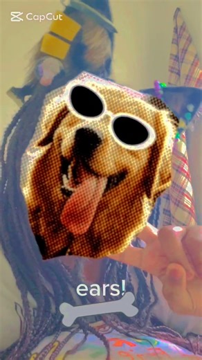 Just ears! #furry #theriangear #therianthropy #kenomi