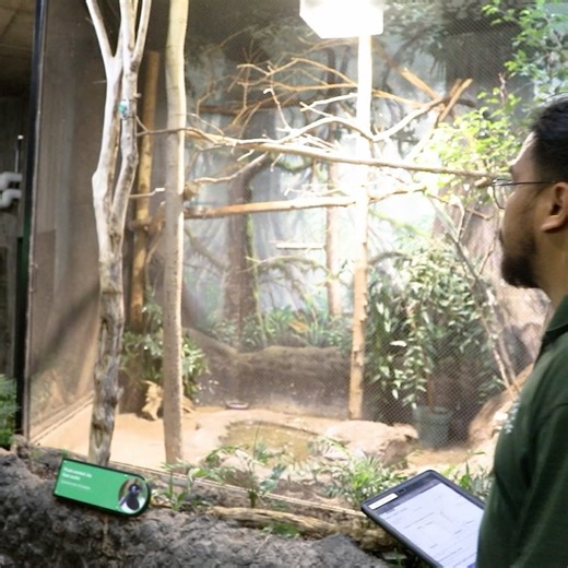 86 reactions · 9 comments | The Toronto Zoo on Reels | Facebook