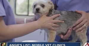 WATCH: Mobile vet clinics help pets keep calm