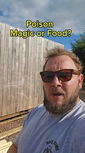 Should I eat this wild mushroom #foraging #homestead #offgridliving #offgridlife #farm #farmlife #homestead | Field to Farm