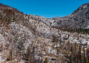 A Year After the Caldor Fire