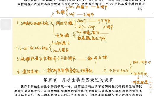 基因表达的调节—第五、六节