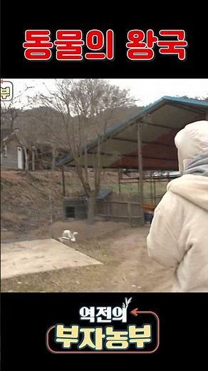동물의 왕국