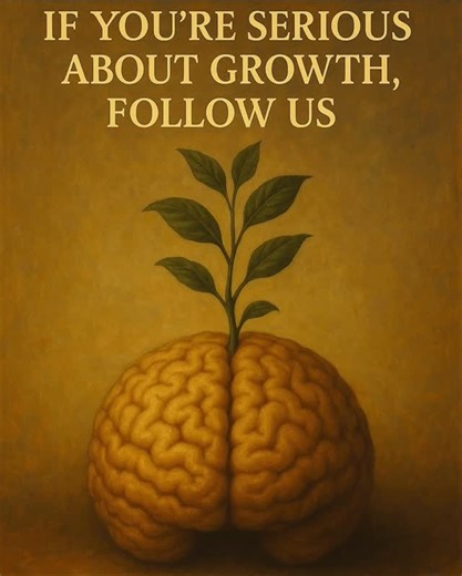 Multilingua Placement on Instagram