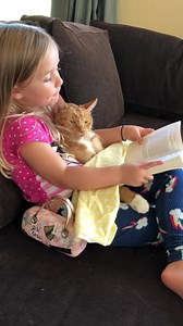 2.2M views · 143K reactions | Best thing you will watch today. It...