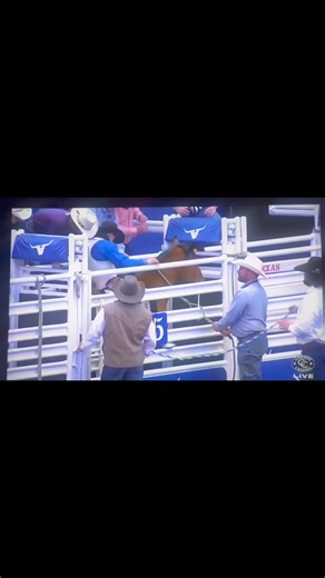 4K views · 83 reactions | Canadian Made Bucking Horse series and sale #601 Good Girl raised by RTS Roughstock (Ron Solomon) purchased by Diamond G Pro Rodeo took Jayco Roper to the pay window at Rodeo Austin with 85.5 pts. | Canadian Made Bucking Horses | Facebook