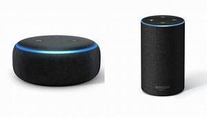 Amazon Echo Dot vs Echo: What’s different? | Digit