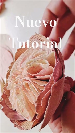 Rosa Inglesa de lienzo