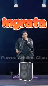 5.8K views · 150 reactions | El Aporte Musical De Lokii藍 . #funnyvideos #viral #fypシ゚ #jpypunto #lokitos #viralreelsfacebook #Loki #viralpost #post #facebookviral #perrosgraciosos #lokilloflorez #humordelbueno #DailyLaughs | Perros criollos clips | Facebook