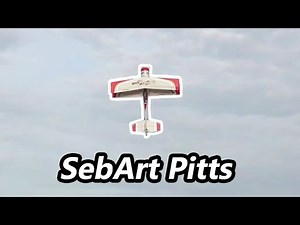 SebArt Pitts Python