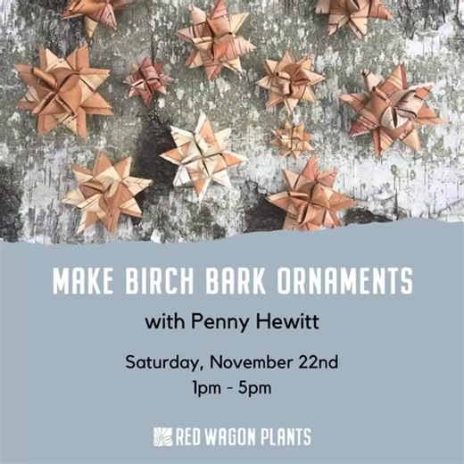 Create beautiful birch bark bird and star ornaments using traditional Scandinavian and Russian basketry techniques. Taught by @lazymillhillfarm, a craftsperson dedicated to reviving traditional bark and ash basketry, and sharing the joy of transforming natural materials into everyday beauty. #redwagonplants #hinesburgvt | Red Wagon Plants