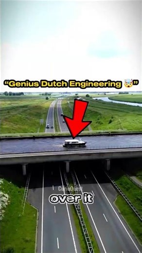 “The CRAZIEST Bridge You’ve Never Seen! 🤯”