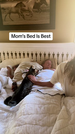 Anyone else share their bed with the entire family?? #momlife #momsoftiktok #momsbelike #momtok #familyfun #familytime #bedtimeroutine #bedtime