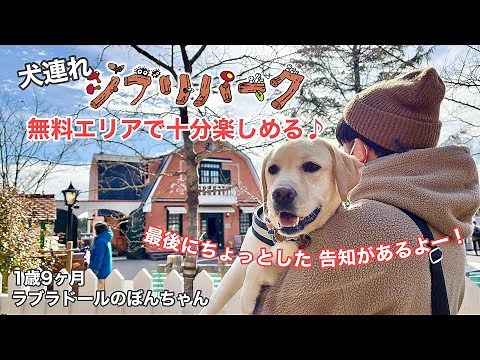 【ジブリパーク#89】犬連れジブリパーク！無料エリアで十分楽しめる★ラブラドールレトリバー labrador retriever 大型犬 ぼんちゃん モリコロパーク