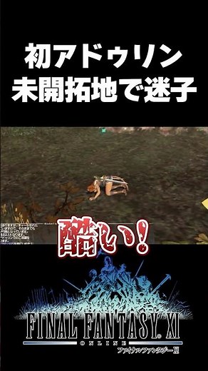 #FF11 Off to Adoulin! The effects and music are great!