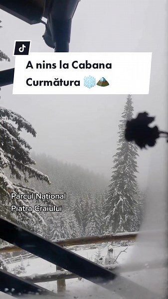 Ce fain a nins la Cabana Curmătura📍 Munții Piatra Craiului 🏔 ❄ •Video by Rebeca Nimăt #zapada #zapadainromania #muntiipiatracraiului #drumetie #cabanacurmatura #zarnesti #munte #lamunte #judetulbrasov #travel #ninge #snow #snowing #romania🇷🇴 #romaniantiktok #brasov🇷🇴