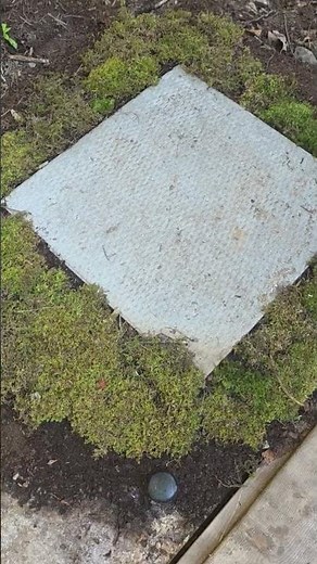 Building an outdoor off grid shower on the homestead