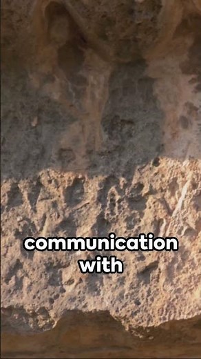 The Evolution of Writing Systems