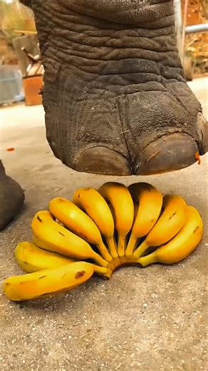 అద్భుతమైన ఫాక్ట్స్ #facts