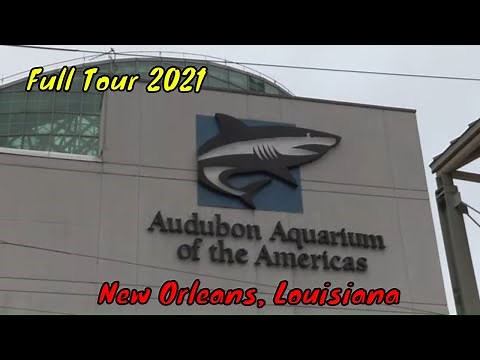 The Audubon Aquarium of the Americas Full Tour - New Orleans, Louisiana