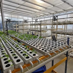 [Hot Item] Hydroponic Growing PVC Pipe Gutter Greenhouse Aquaponic Nft Channel System