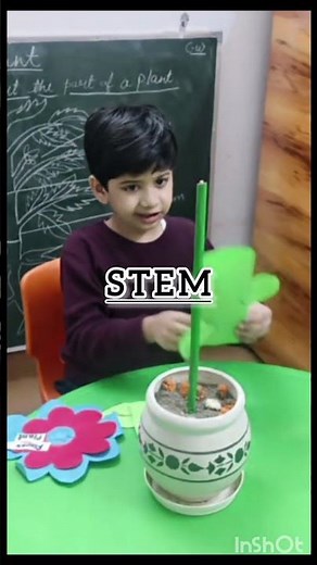 plants activity for ukg class #preschool