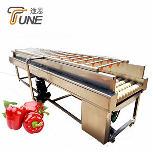 [Hot Item] Grape Stem Herb Cleaning Washing Drying Machine Washer