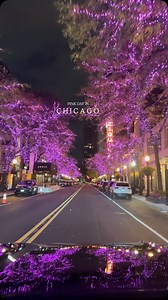 131K views · 18K reactions | Chicago is amazing in any time of the year, let’s experience the Chicago together. Downtown  #chicago #chicagophotographer #chicagoarchitecture #chicagolife #chicagoblogger #chitown #chicagodowntown #chicagotravel #chicagogram #chicagoland #chicagonightlife #chicagoskyline #chicagoexplore #chicagocityworld | Travel With Me | Facebook