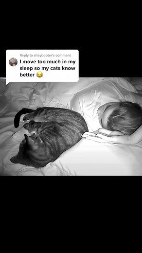 Replying to @shaybooter he doesnt mind 💕 #ilovehim #petsoftiktok #petlover